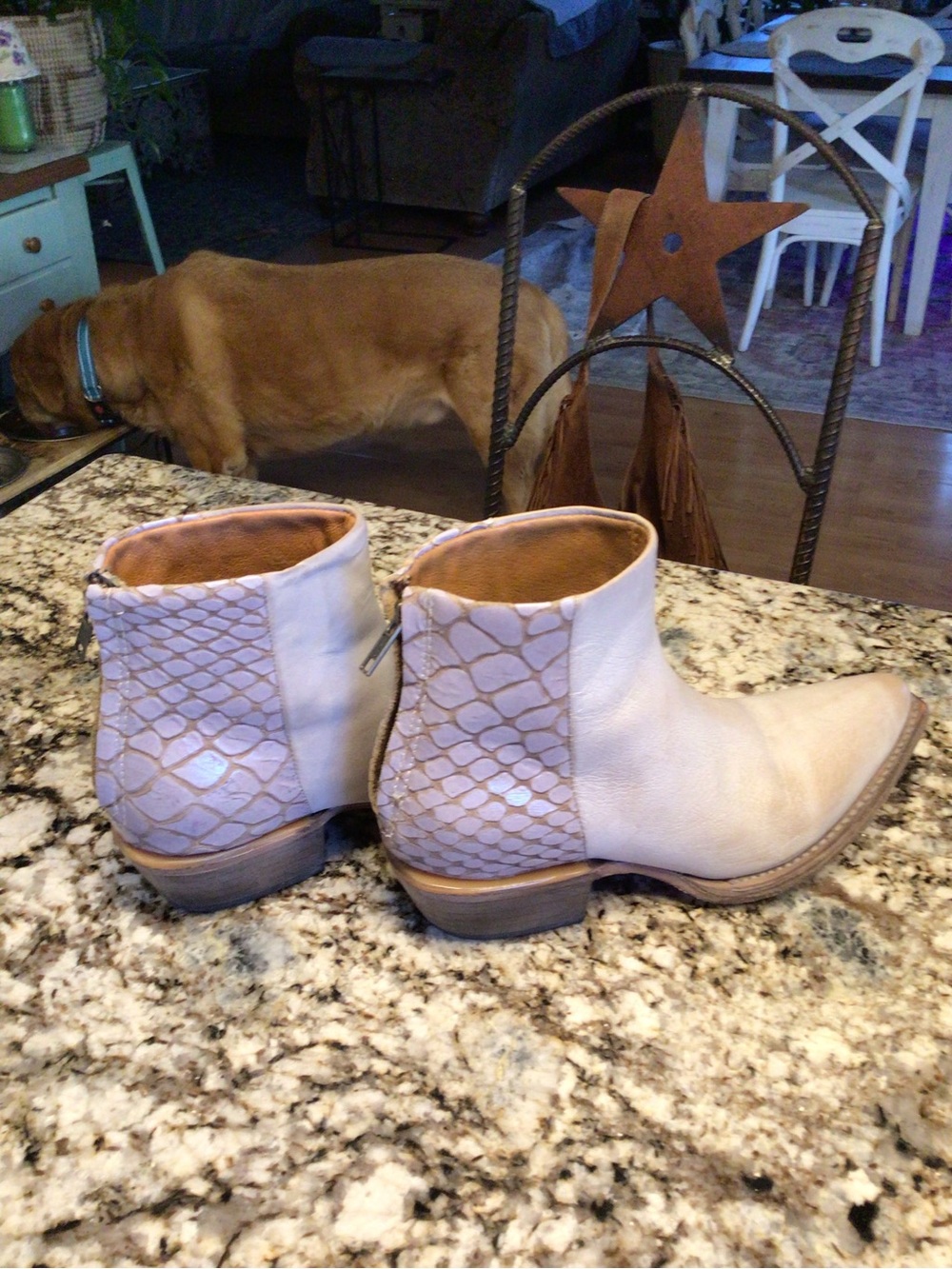 Freebird Cream Leather Pointed Toe Ankle Booties - Picture 4 of 8